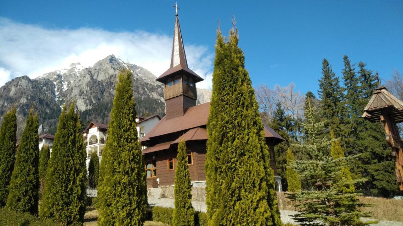 Poiana Dintre Brazi Chalet, Bucegi Panorama Sinaia Zewnętrze zdjęcie