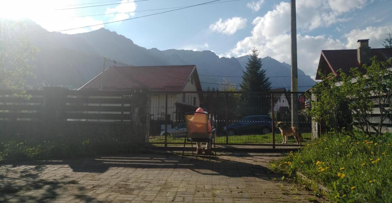 Poiana Dintre Brazi Chalet, Bucegi Panorama Sinaia Zewnętrze zdjęcie